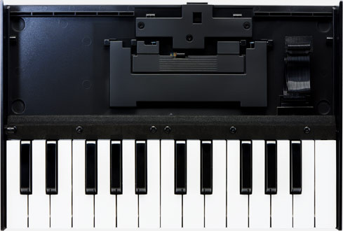 k-25m_main__44539.1655488649.