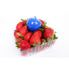 Bluapple Classic 2 Pack Produce Freshness Extender