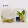 Bluapple Classic 2 Pack Produce Freshness Extender