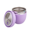Oasis Stainless Steel Insulated Food Pod 470ml - Lavender