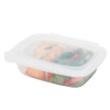 Progressive Softbox Silicone Divided Food Container - 2 Cup