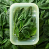 Lock & Lock Fresh Block Containers 330ml - 2 Pack