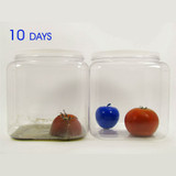 Bluapple Classic 2 Pack Produce Freshness Extender