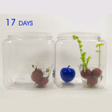 Bluapple Classic 2 Pack Produce Freshness Extender