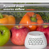 OXO GreenSaver Crisper Insert 2 Pack