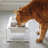 Yamazaki Tower Pet Food Bowl & Stand Tall - White