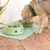 Vigar Pets Club 3-in-1 Pet Food Bowl Set