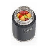 Thermos Icon Food Jar 710ml - Granite