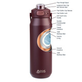 Oasis Capri Insulated Stainless Steel Drink Bottle 1L - Bordeaux