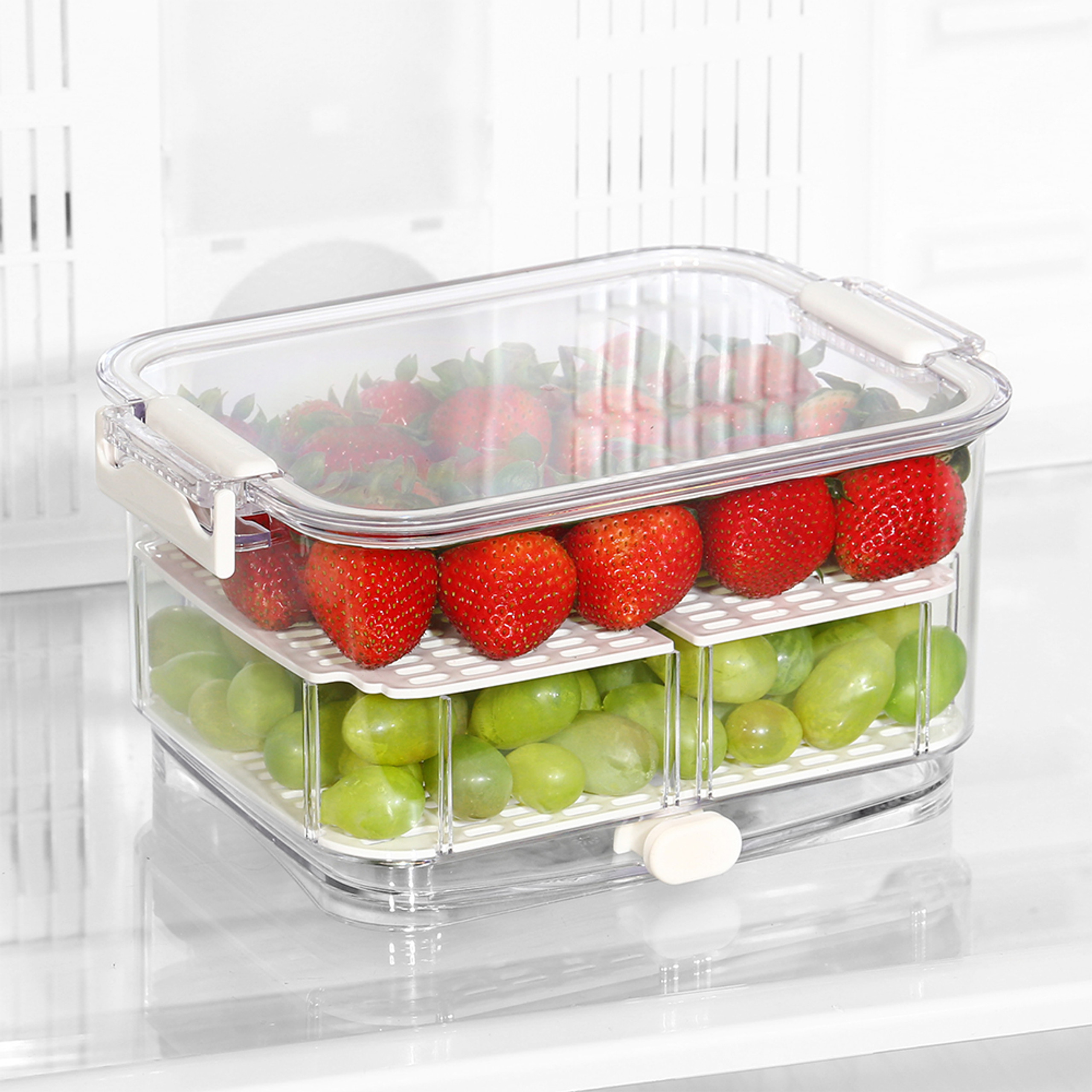 Felli Duo Fresh Pro Fridge Storage Container 4.8L Howards Storage World