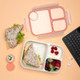 Lock & Lock To Go Bento Box 980ml - Pink | Howards Storage World