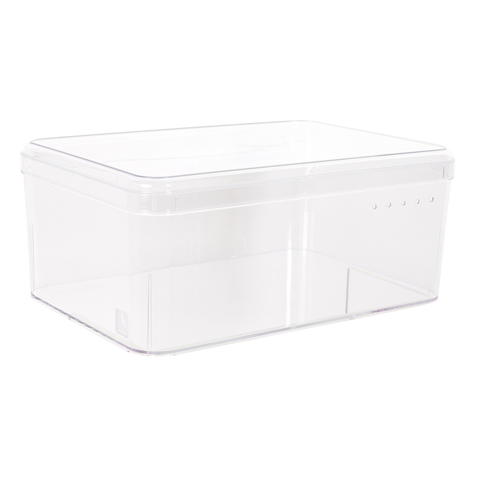 Howards Medium Shoe Box With Lid Howards Storage World