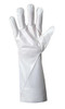 ANE2-100-9 Gloves Chemical Resistant Gloves Ansell Edmont 2-100-9
