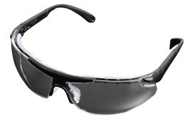 Radnor 64051601 Safety Glasses