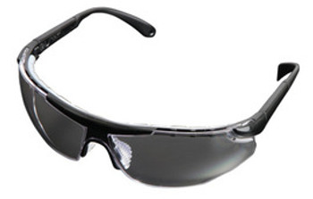 Radnor 64051601 Safety Glasses