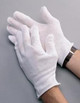 RAD64057221 Gloves Inspection Gloves Radnor 64057221