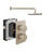 Shower Pack 1 - Iso Pro - Brushed Nickel