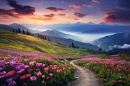 Nature 