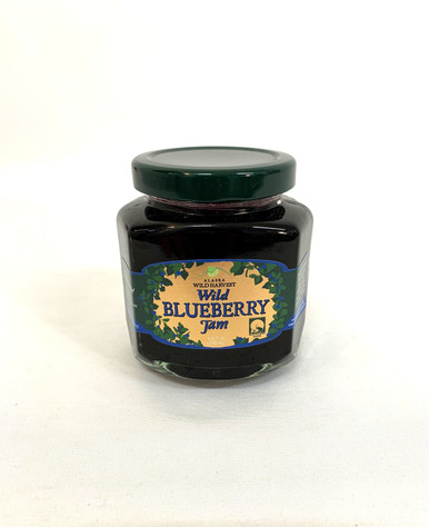 バーゲンで AK_Jam_Blueberry_upright__6655 ギター