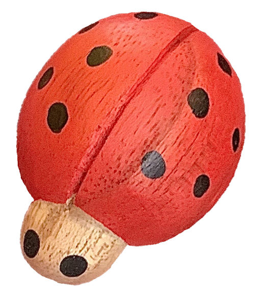 Hand painted (in our workshop in Melbourne) wooden ladybirds, 5cm long. Sold in packs of 7.