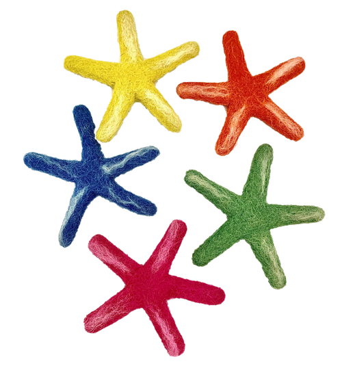 5 brightly coloured seastars