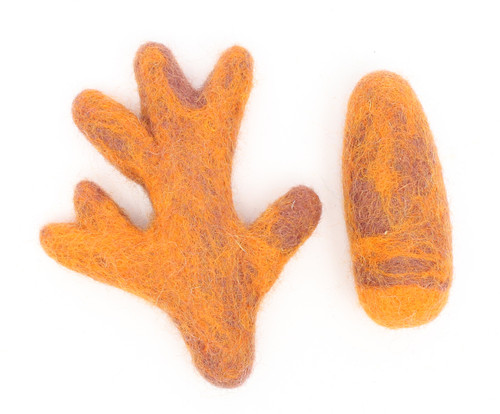 Such a valuable root for healing, turmeric 2 pieces (Lettuce not included)