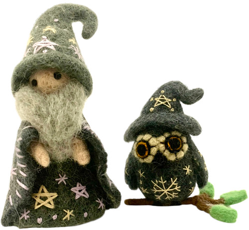 Small Wizard with Owl Companion