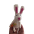 Bunny Finger Puppet, 2 in the set as well as 2 Frogs