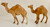 Camels available separately. W/P282, 2 pieces (one is a little smaller than the other)