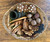 Here shown as part of our Nature Loose Parts Basket, none of the other parts are included in the Leaf set.
