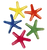 5 brightly coloured seastars