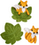 This is a DIY craft pack with 1 leaf and 1 fox shape to make.