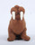 Walrus