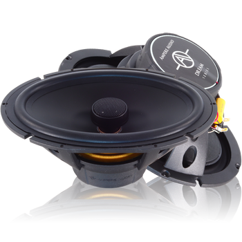 Ampere Audio AA-BI9 TL 6x9 Co-Axials (AA-BI9) Ampere Audio AA-BI9 TL 6x9 Co-Axials (AA-BI9)