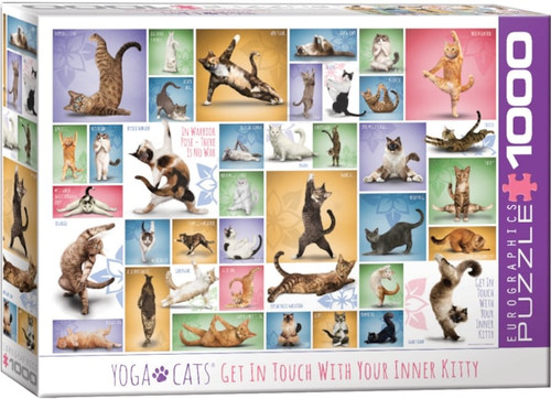Yoga Cats