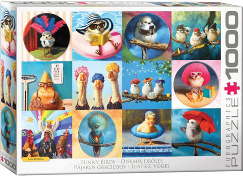 Funny Birds by Lucia Hefferman