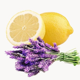 Lemon & Lavender Fragrance Oil