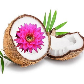 Coconut Perfume Oil for Perfume Making, Personal Body Oil, Soap, Candl –  PERFUME STUDIO