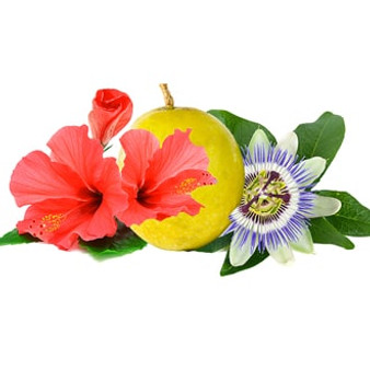 hibiscus_passionfruit