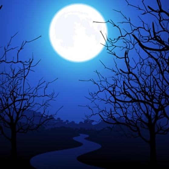 moonlight path