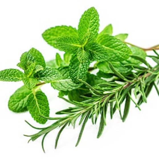 rosemary mint