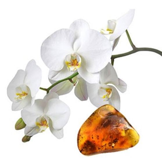 orchid & black amber
