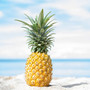 pineapple_beach