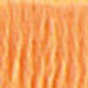 DMC # 977 Light Golden Brown Floss / Thread