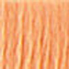 DMC # 3827 Pale Golden Brown Floss / Thread