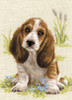 RIOLIS - Basett Hound Puppy