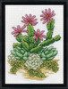 Design Works - Cactus (Eriosyce)