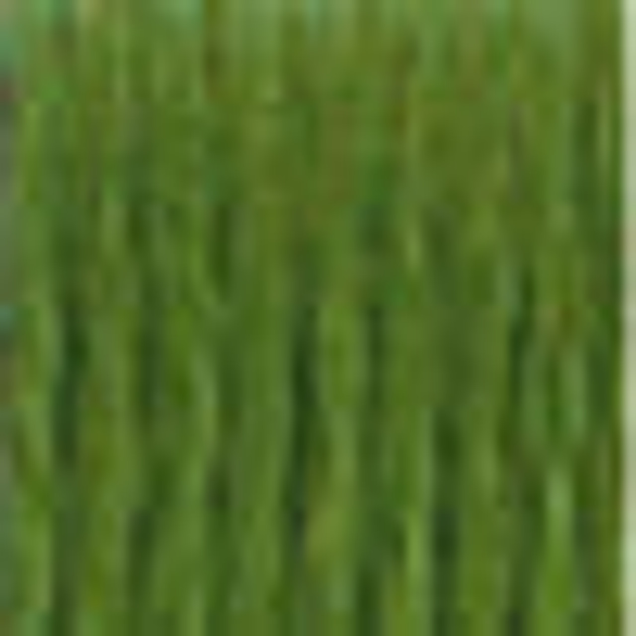 DMC 8 Mètres de fil de coton point de croix DMC 469 Avacado green 117mc quantité 1 