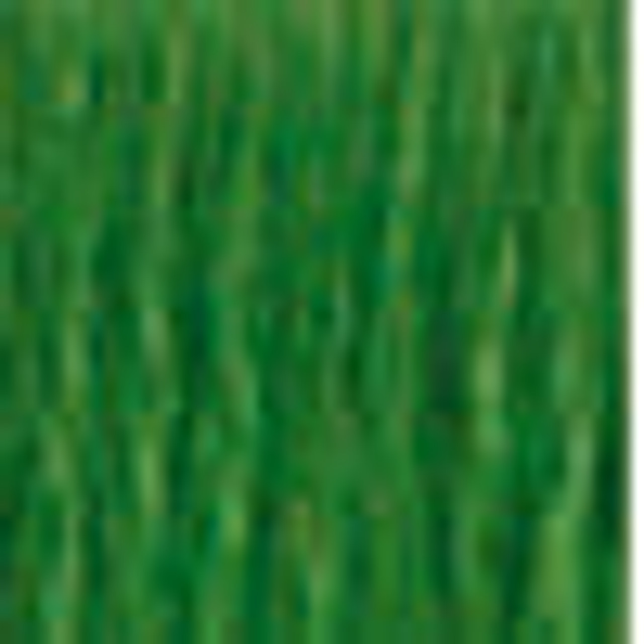 DMC # 904 Very Dark Parrot Green Floss / Thread
