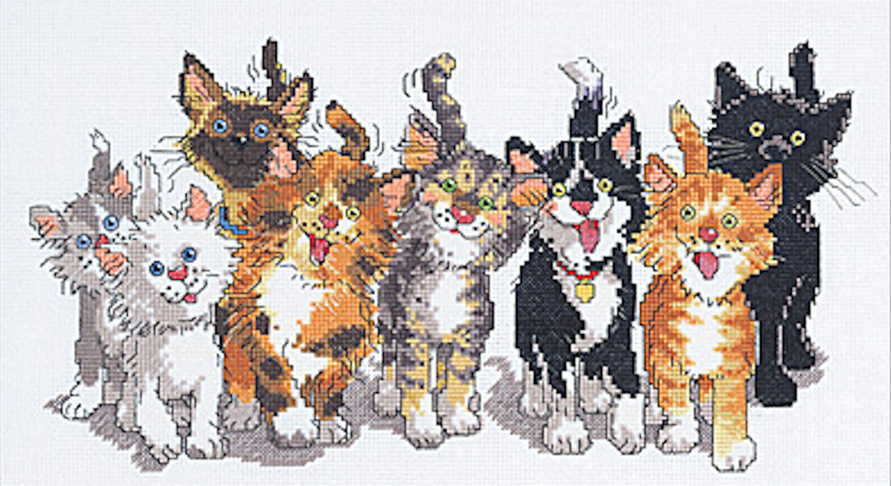 FO] Janlynn Suzy's Zoo - Be Happy : r/CrossStitch